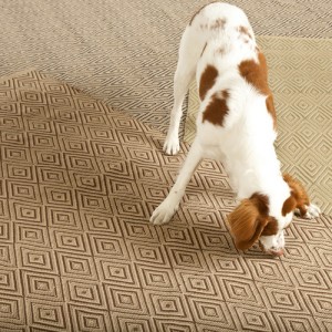 petproofrugpad